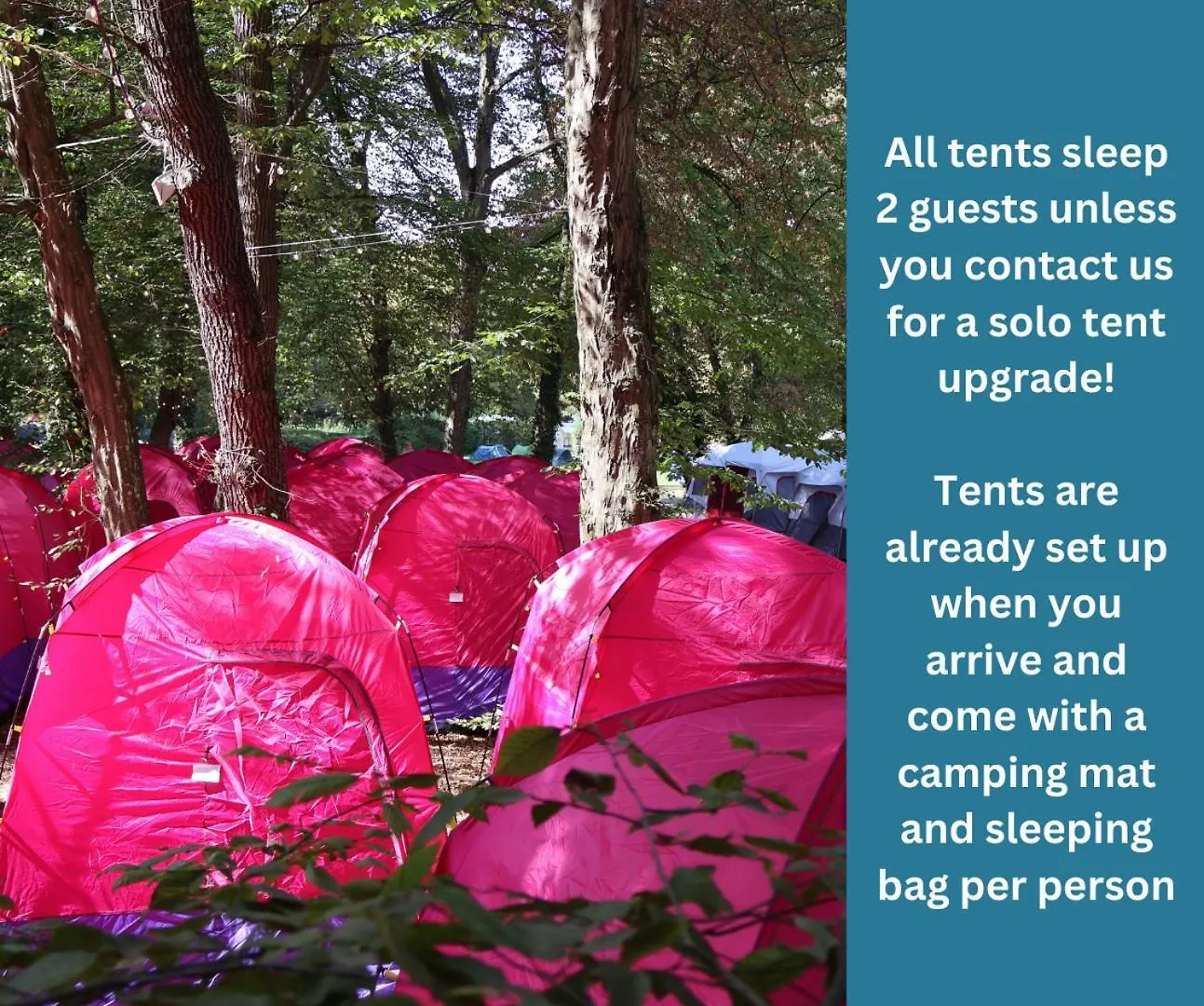 Oktoberfest&Springfest Inclusive Camping München Deutschland